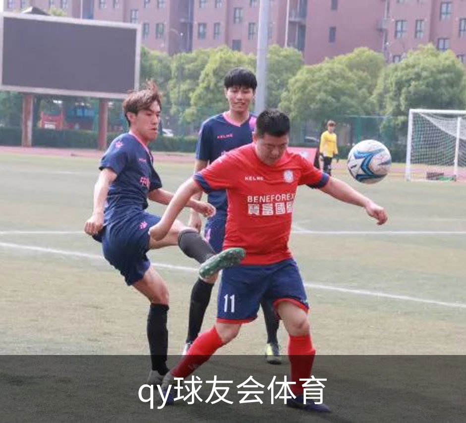 qy球友会体育介绍